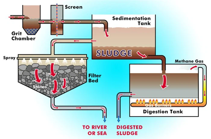 Anaerobic Process Anaerobic Process