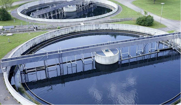 Poor Nutrient Removal Poor Nutrient Removal